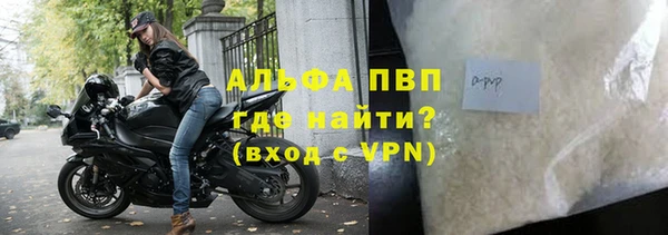 сатива Волоколамск