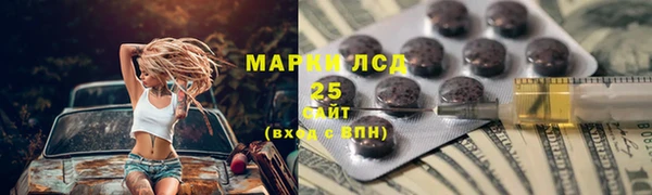 сатива Волоколамск