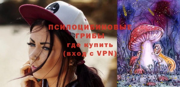 тгк Володарск