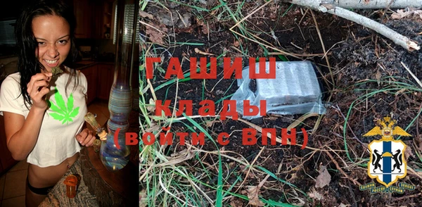 сатива Волоколамск