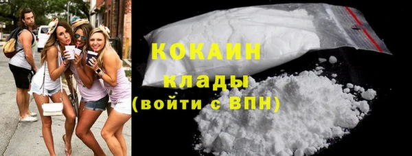 сатива Волоколамск